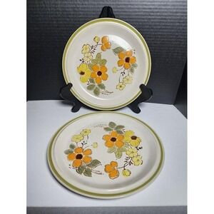 VTG Harvest Collection Stoneware Mountain Flowers Dinner Plates 10 1/2" Set of 2